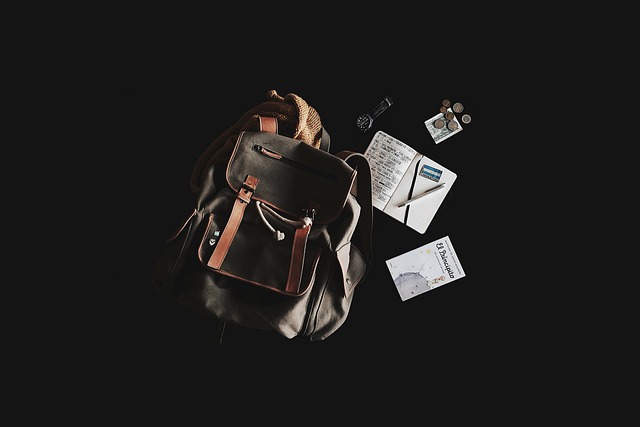 Read more about the article The Best Booker Backpack for Your Needs